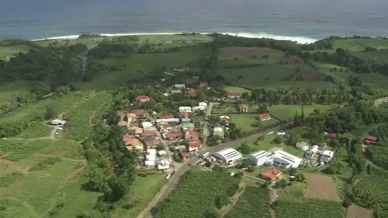 Ville du Lorrain : Bananeraie, champ de canne à sucre et usine de Vivé