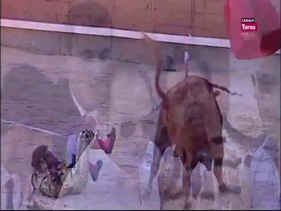Cornada a Jesus Duque en Madrid