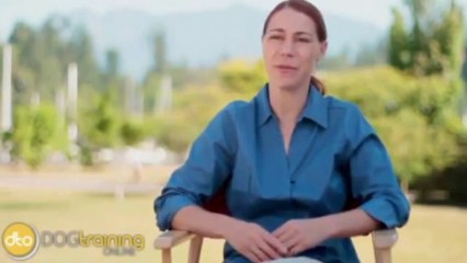 Dove Cresswells Dog Training Online.