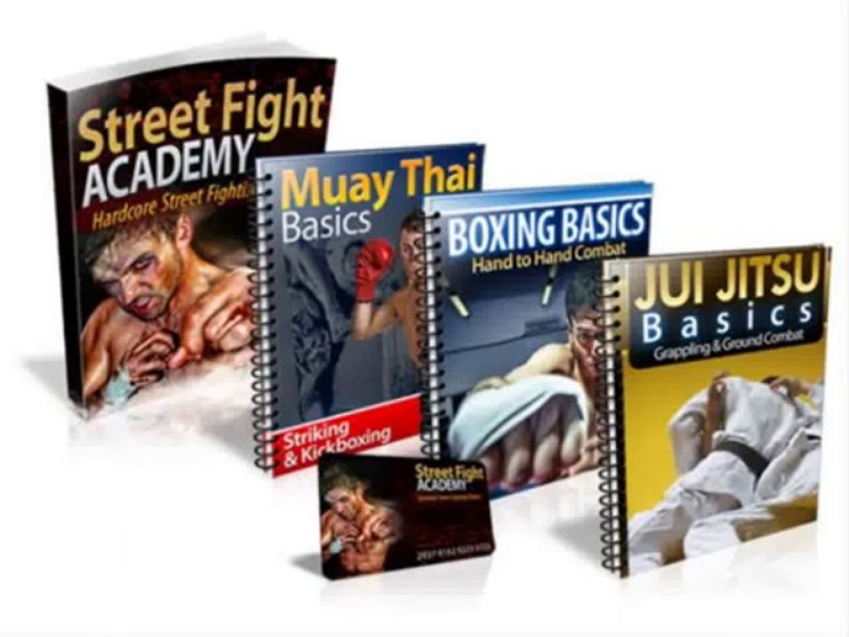 Street Defense Training -- The Street Fight Academy Reviews ...