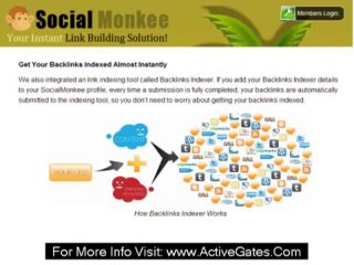 Social Monkee - Seo Marketing Services