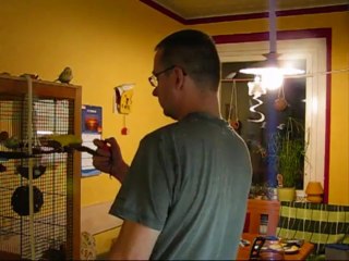 Clickertraining Wellensittiche