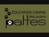 Éducateur canin: comment choisir la bonne race de chien.