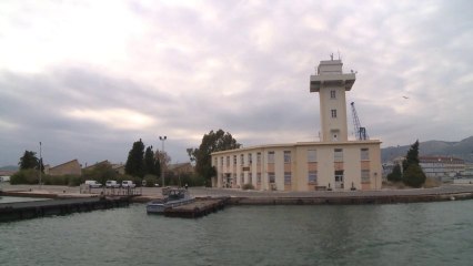 Pilotes de port