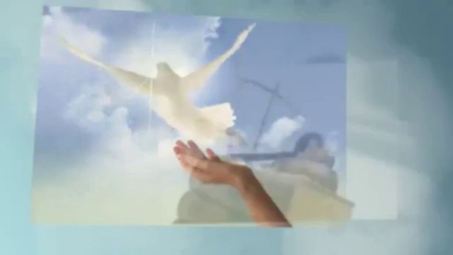 Law Office of Luis Macias Jr. - (619) 274-2673