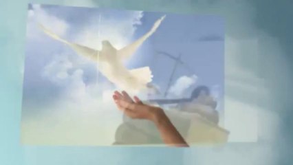 Law Office of Luis Macias Jr. - (619) 274-2673