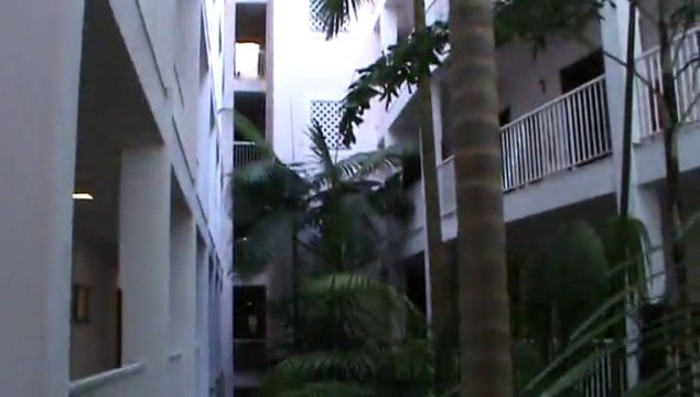 Riu Palace Madeira 4,5 Sterne Canico de Baixo Hotel Palmen Meer 30. Geburtstag von Matthias Mangiapane Palmen im Hotel