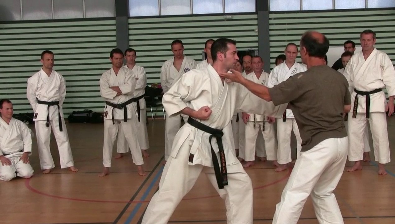 Présentation du Karaté martial
