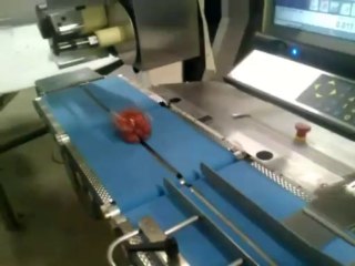 TECHNO D -  Weigher for Ciliegini tomatoes