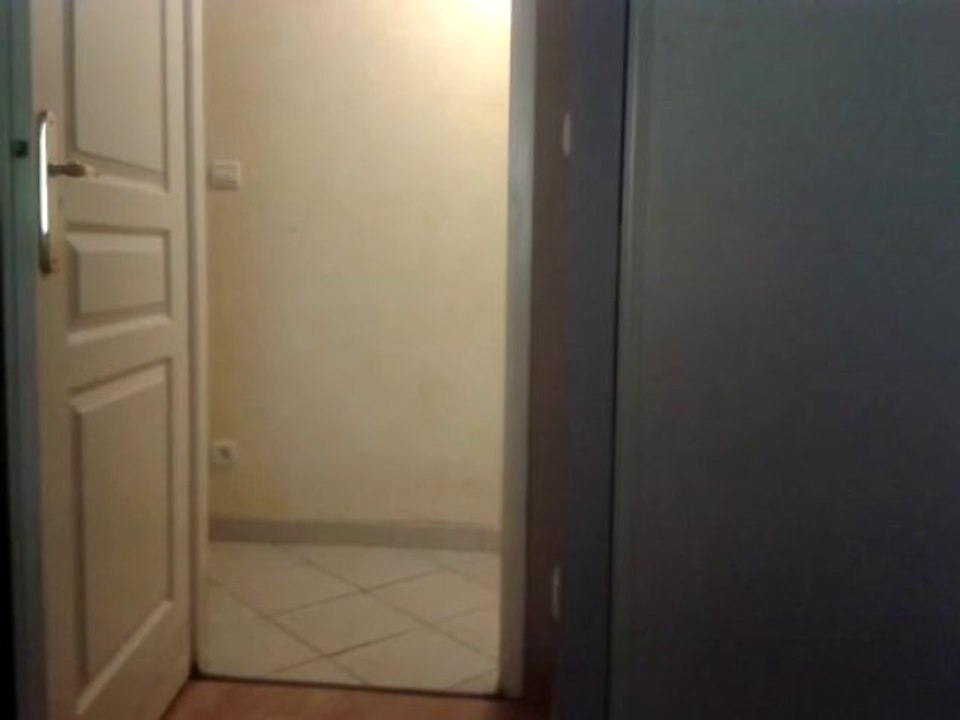 Caly ma Calopsitte eam et son entraînement  journalier au rappel