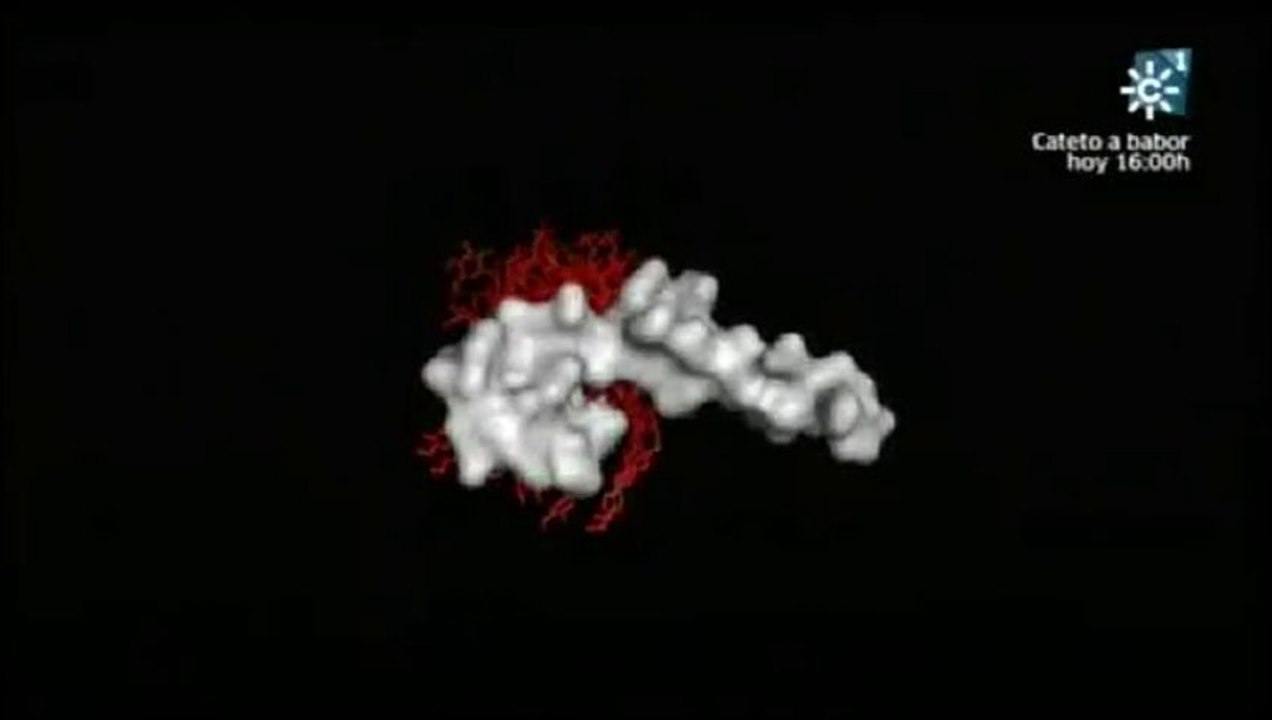 Neuropeptidos contra enfermedades autoinmunes