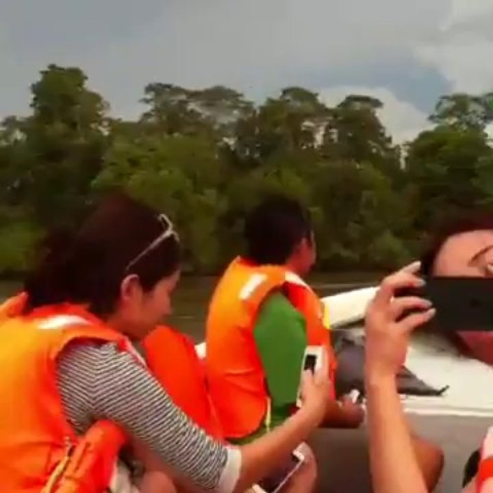 Borneo.. Garama River Safari clip