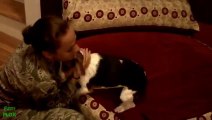 Soldats américains accueillis par leurs chiens à la maison!! US Army - 2013