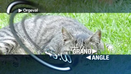 Grand Angle - Lundi 7 octobre