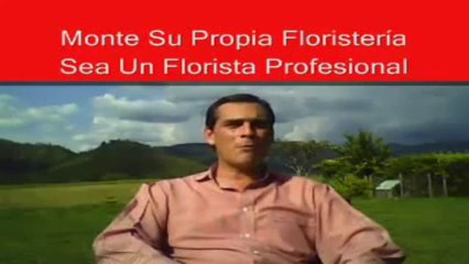 Monte Su Propia Floristeria Sea Un Florista Profesional