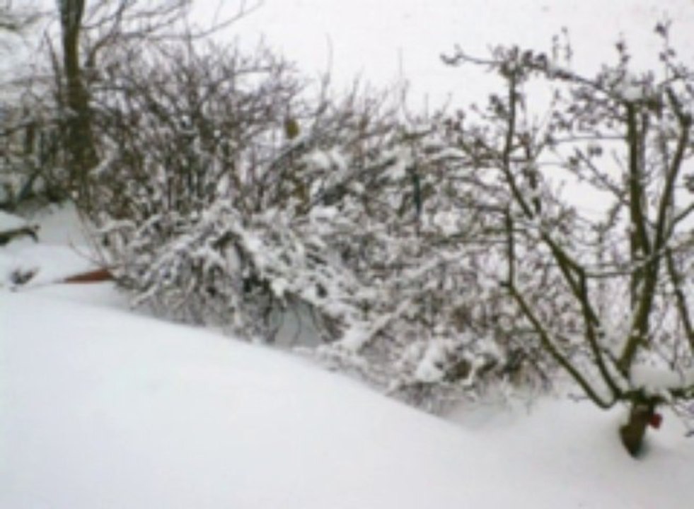 Leise rieselt der Schnee (Instrumental)