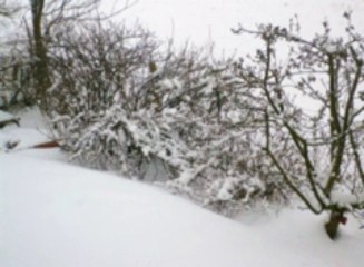 Leise rieselt der Schnee (Instrumental)