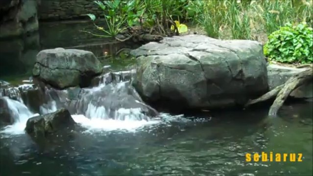 fon muzik seni seviyorum