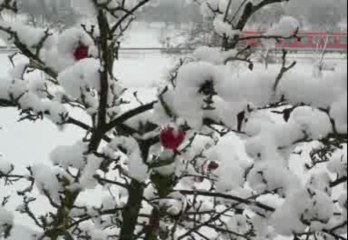 Manuela - Jingle Bells (german - deutsch)