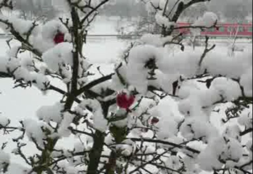 Manuela - Jingle Bells (german - deutsch)