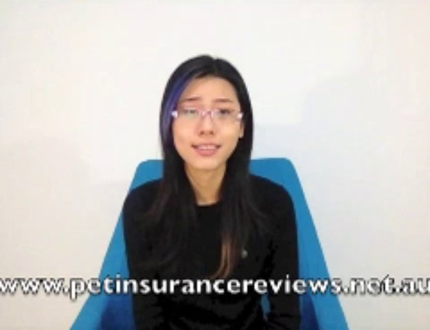 Which is the Best Pet Insurance