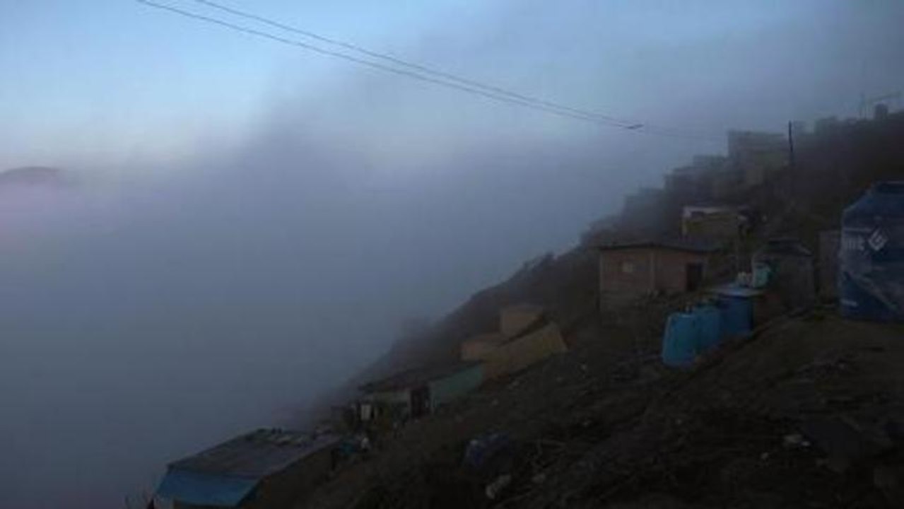 earthrise - Fog Nets