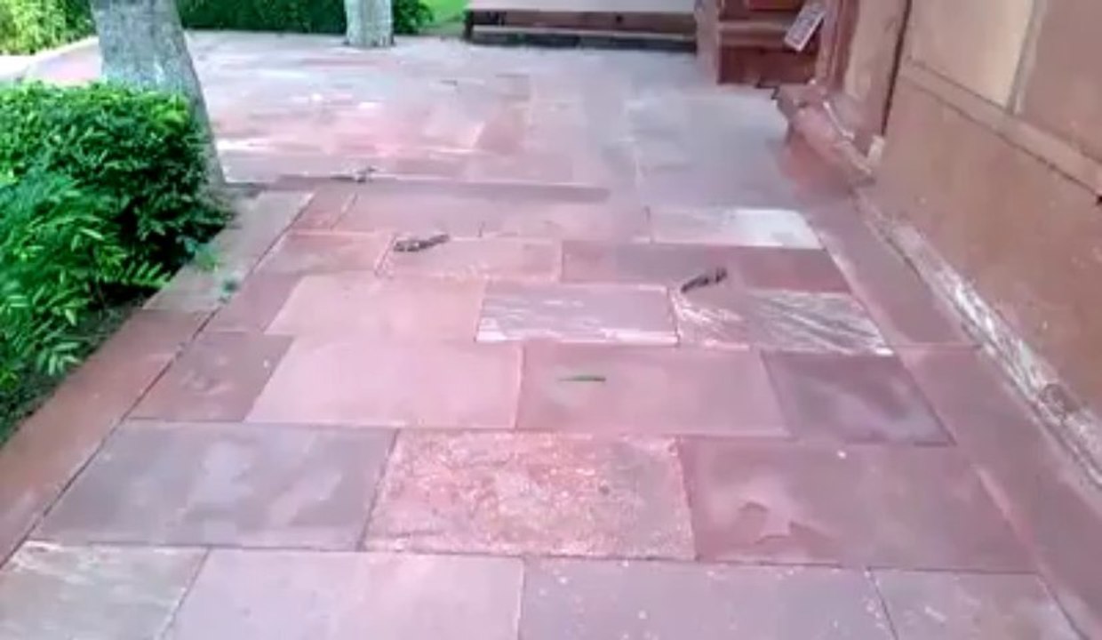 Unlucky Camera Man