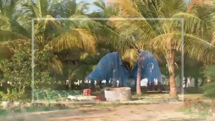 Ferme agro-écologique de Kaydara