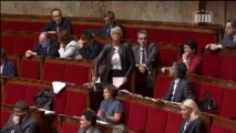 Une députée interrompue à l'Assemblée par des imitations de cris de poules