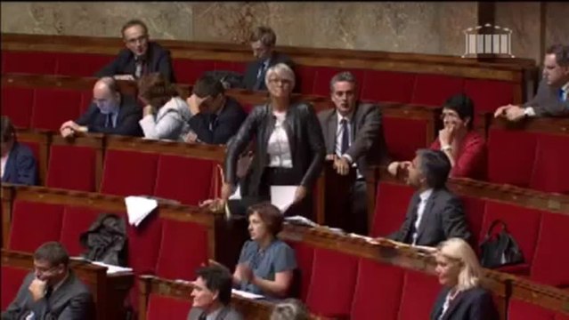 Une députée interrompue à l'Assemblée par des imitations de cris de poules