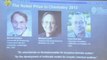 Three U.S. scientists win Nobel prize for taking chemistry into cyberspace