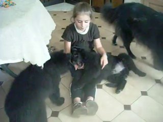 9 octobre 2013 : Léonie & Iago, 10 semaines