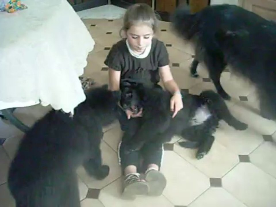 9 octobre 2013 : Léonie & Iago, 10 semaines