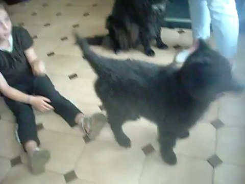 9 octobre 2013 : Léonie & Ivanhoé, 10 semaines