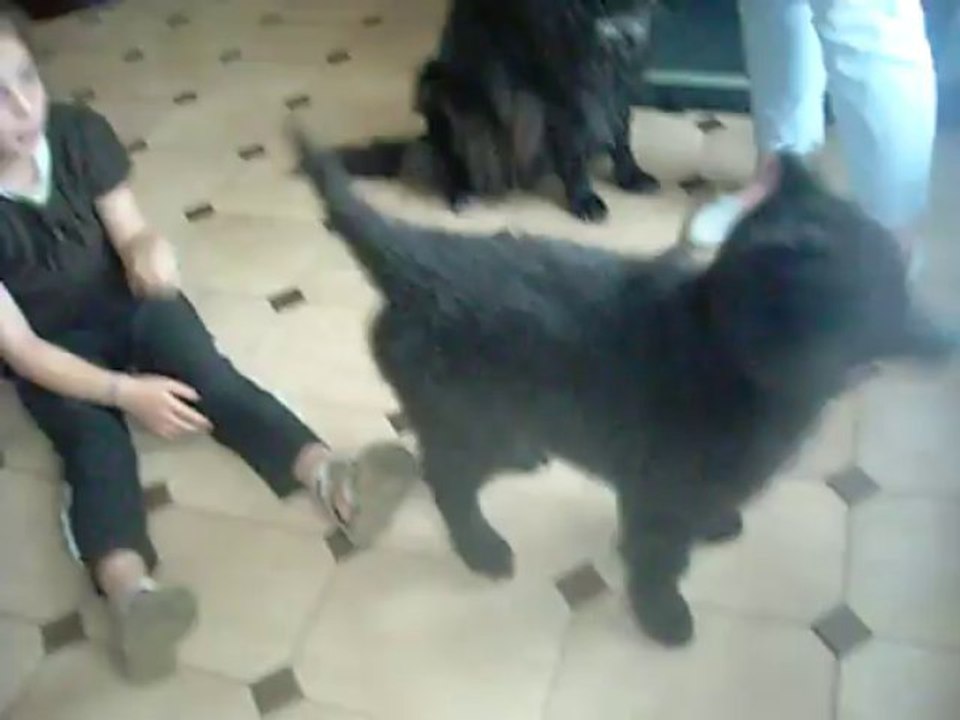 9 octobre 2013 : Léonie & Ivanhoé, 10 semaines