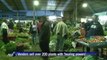 Medicinal plants sold at night in Colombian market