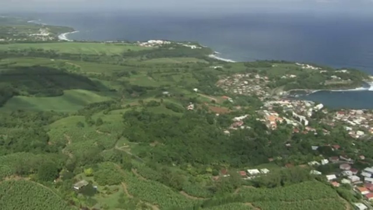 Ville du Marigot : PL et végétation mer