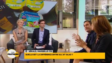 Conservation des aliments : différences entre DLUO et DLC