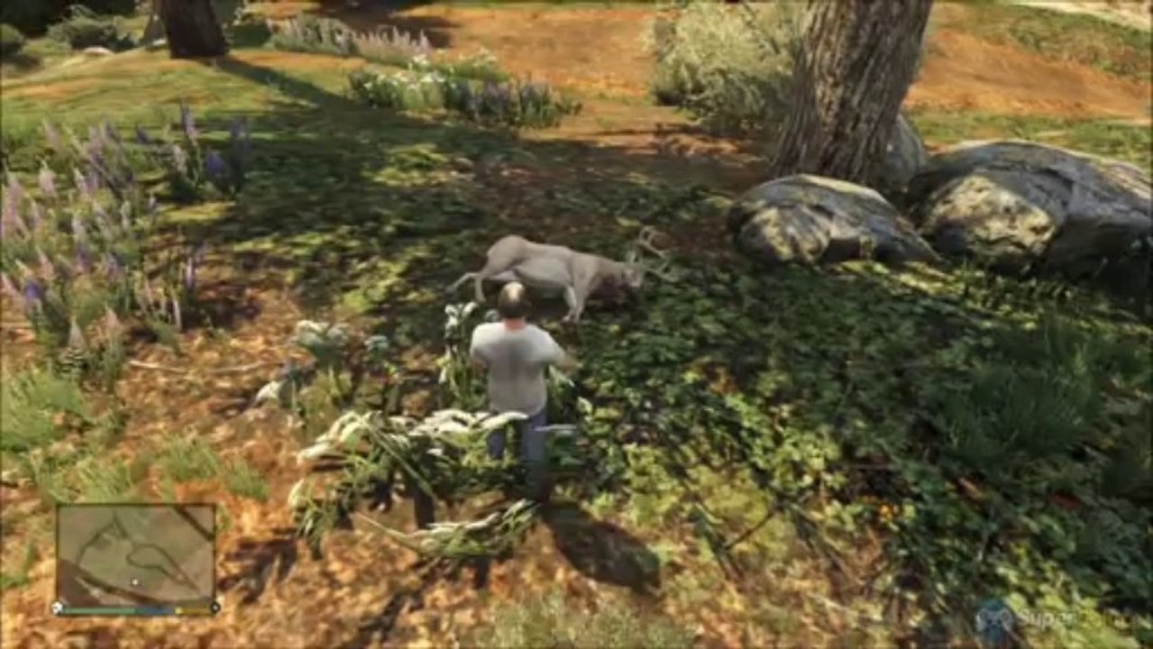 GTA V : Go élan