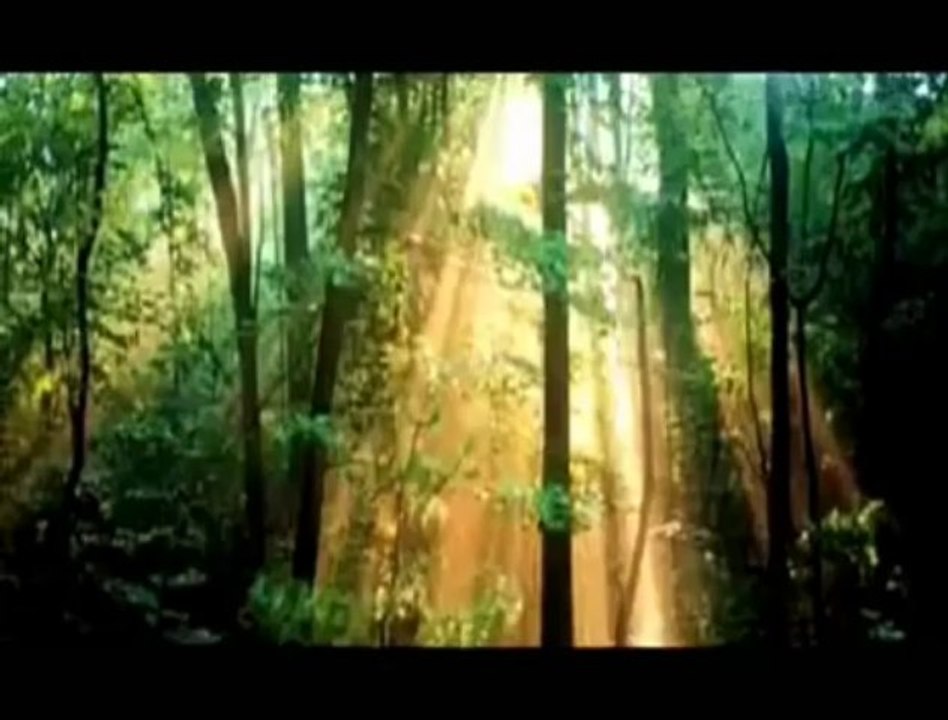 ney taksimi  fon muzik pasta arasi fon neyzen