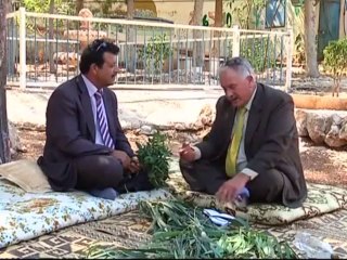 ساق الله - كحلة