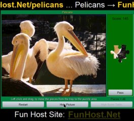 Jouer à pélicans - Jeu vidéo gratuit