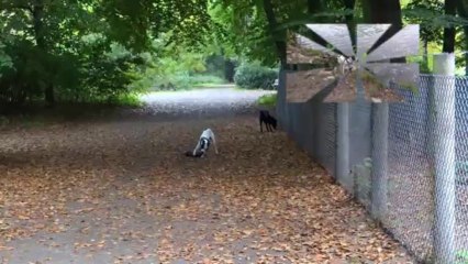 Dina und Kessy haben ausgang