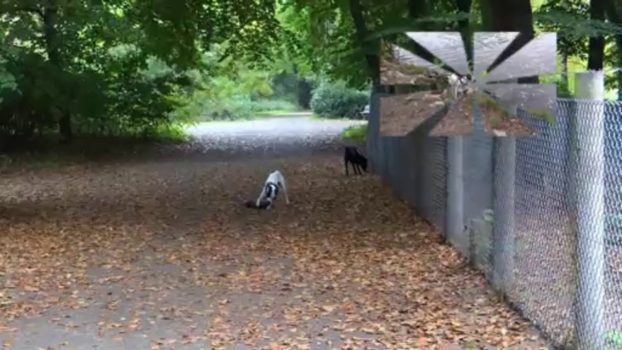 Dina und Kessy haben ausgang