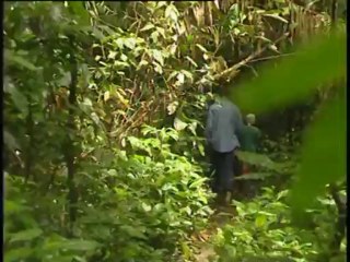 Marée noire sur le cameroun