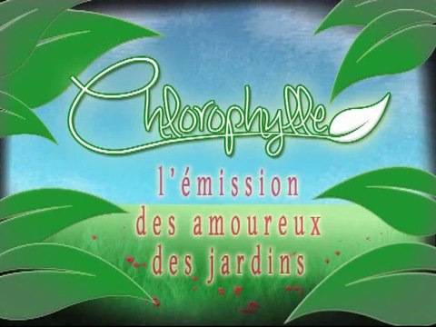 Chlorophylle épisode 56 sur Télé Doller