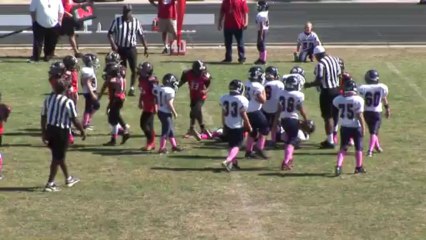 Delta Valley  Wolfpack Rookies vs Vacaville Falcons