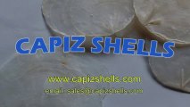 Philippines Capiz Shells Natural Product Manufacturer and Exporter