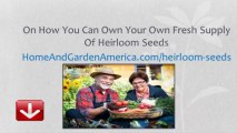 Heirloom Seeds Our Garden Heritage
