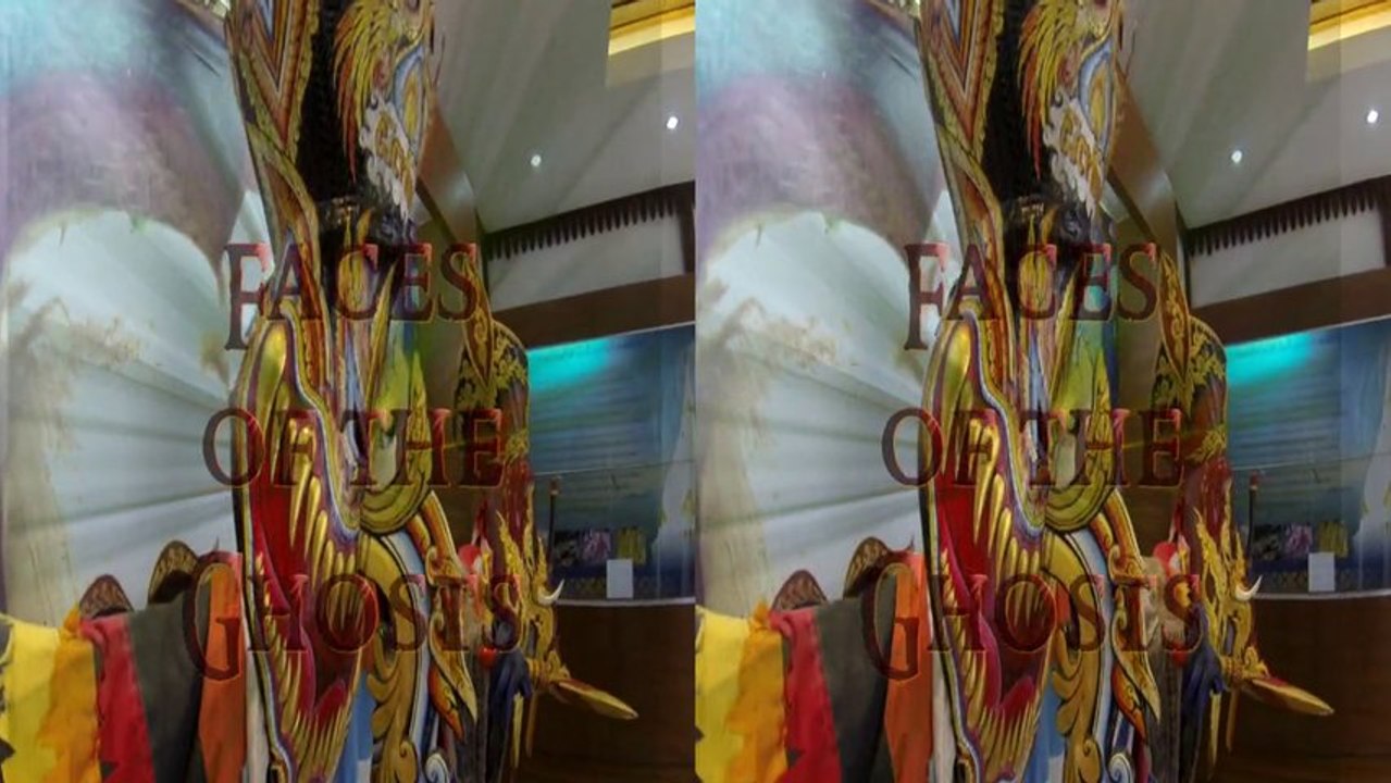 SuperHero Captures the Faces of the Ghost 3D